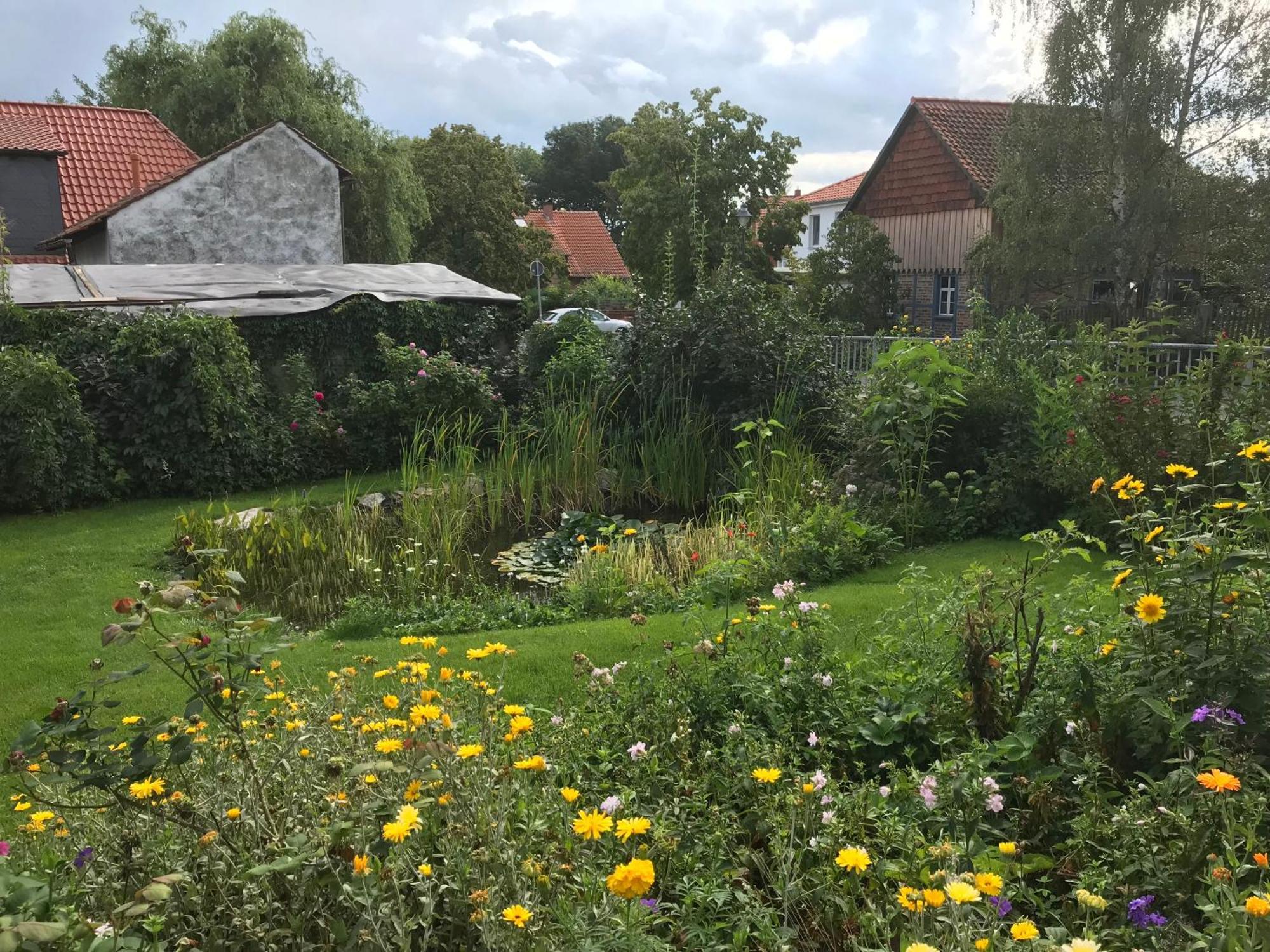 Schöne gemütliche Ferienwohnung mit Kamin im Harz I Darlingerode Exterior foto